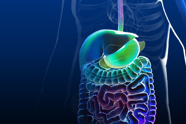 Gastroenterology